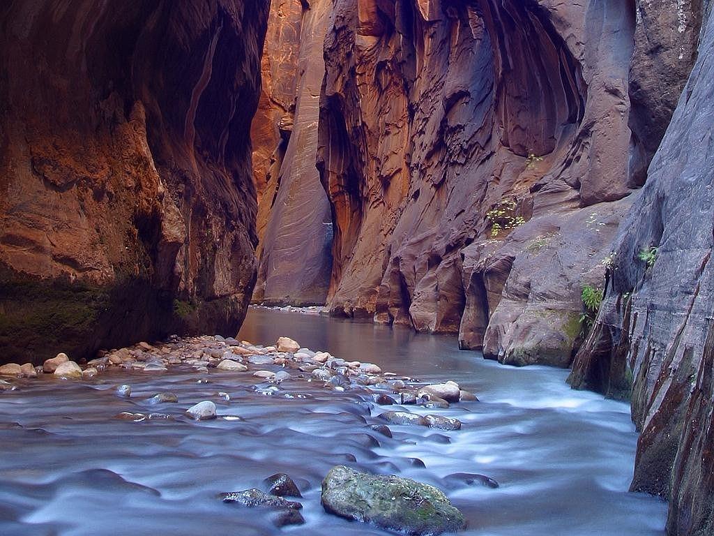 Best utah state parks - Zion National Park