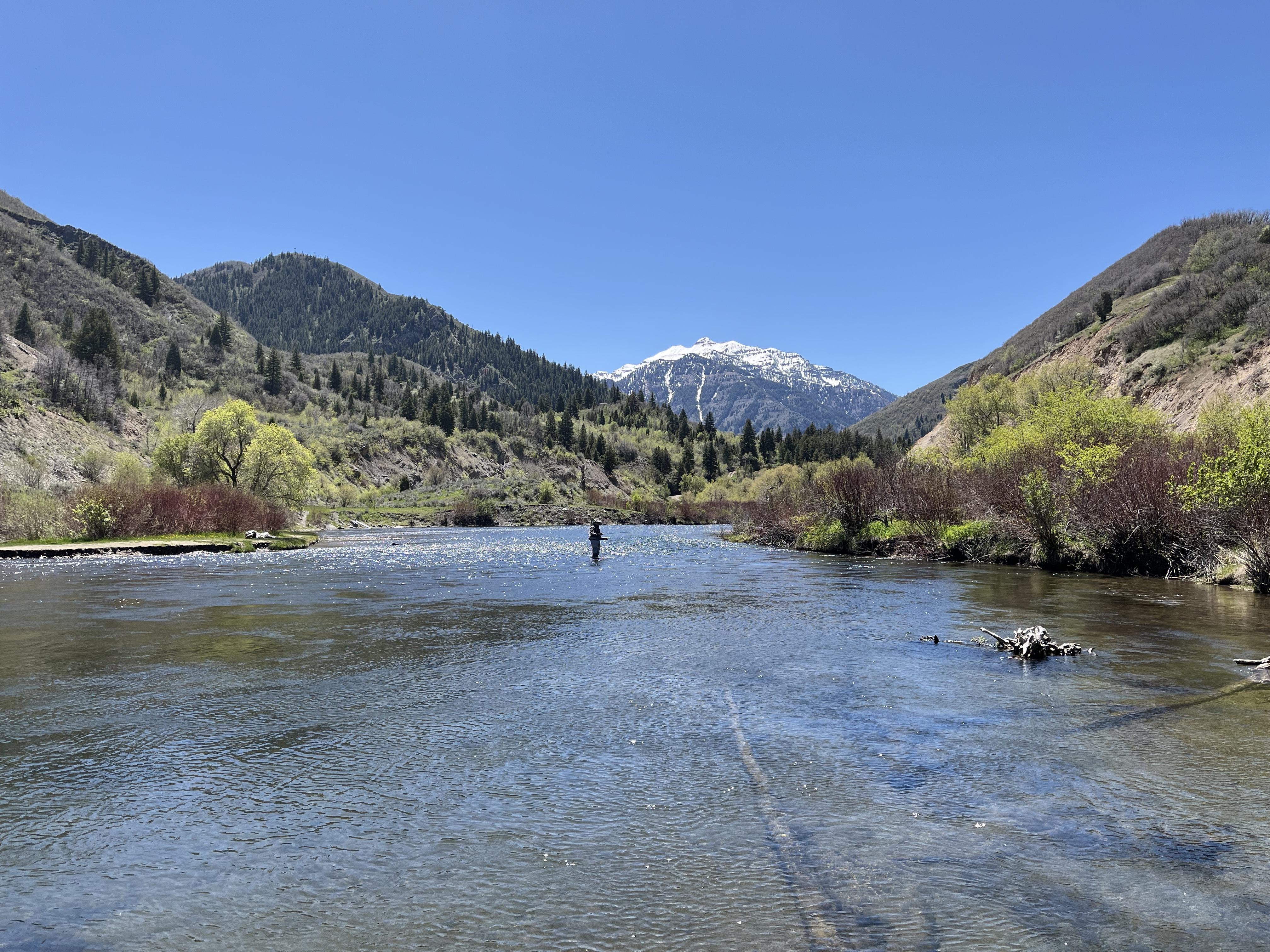 best rivers to fly fish in utah - provo river
