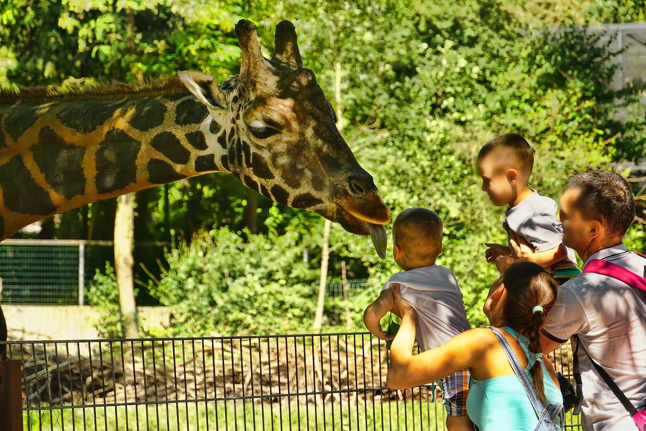 11-fun-family-activities-in-salt-lake-city-utah-activities-what-to